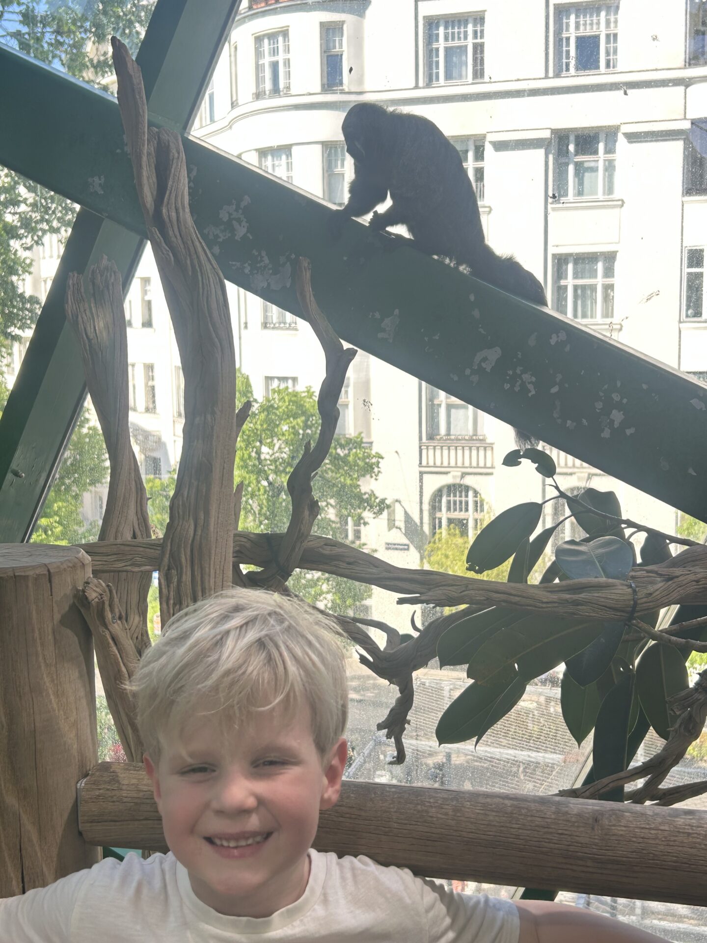 Haus des Meeres
Dunaj